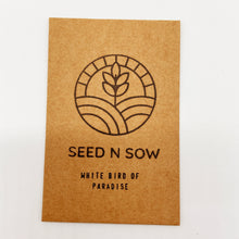 Load image into Gallery viewer, White Bird of Paradise - Indoor Houseplant Seeds -  10 Strelitzia Nicolai Rare Seeds
