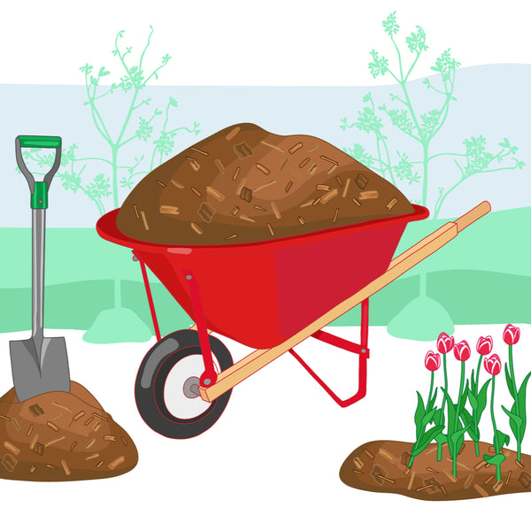 What Is Mulch?