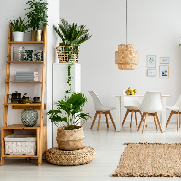How To Style Houseplants In Your Home!