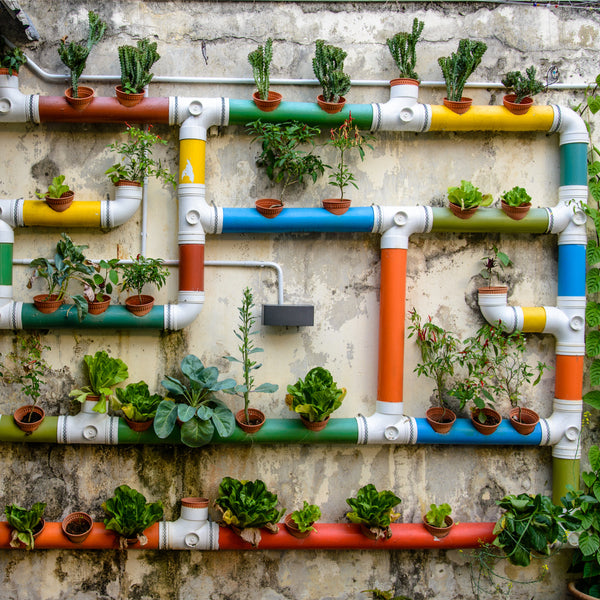 You Can Still Grow Vegetables In Your Urban Garden!