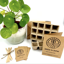 Load image into Gallery viewer, All In One Seed Kit - Flowers and Indoor Plants-Master-Seed n Sow

