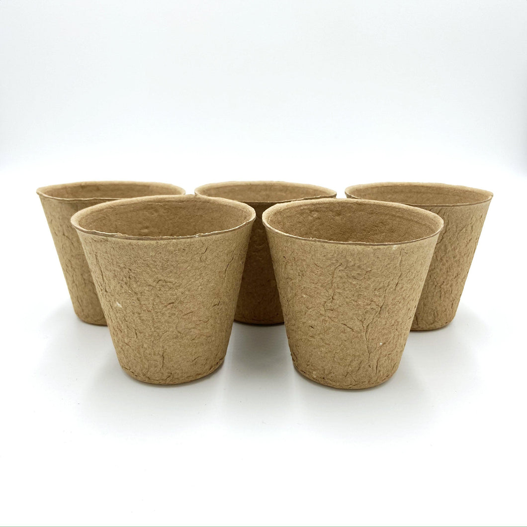 Five Biodegradable plant pots-Accessories-Seed n Sow