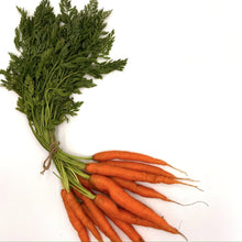 Load image into Gallery viewer, Organic Carrot Seeds-Seeds-Seed n Sow
