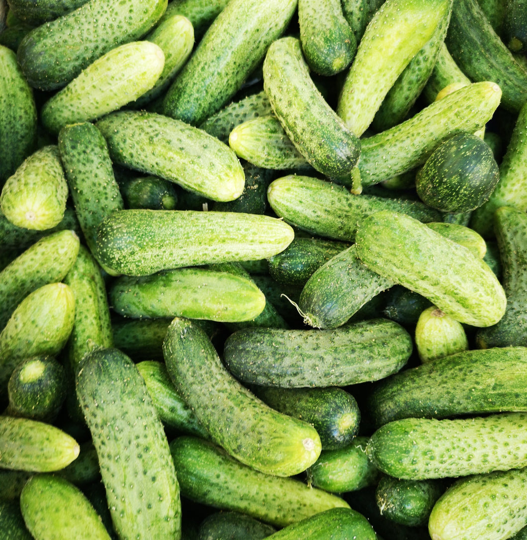 Organic Cucumber Vegetable Seeds - 75 Seeds Per Pack