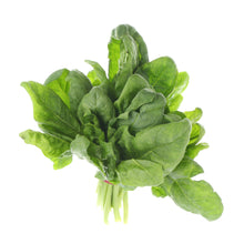 Load image into Gallery viewer, Organic Spinach Seeds-Seeds-Seed n Sow
