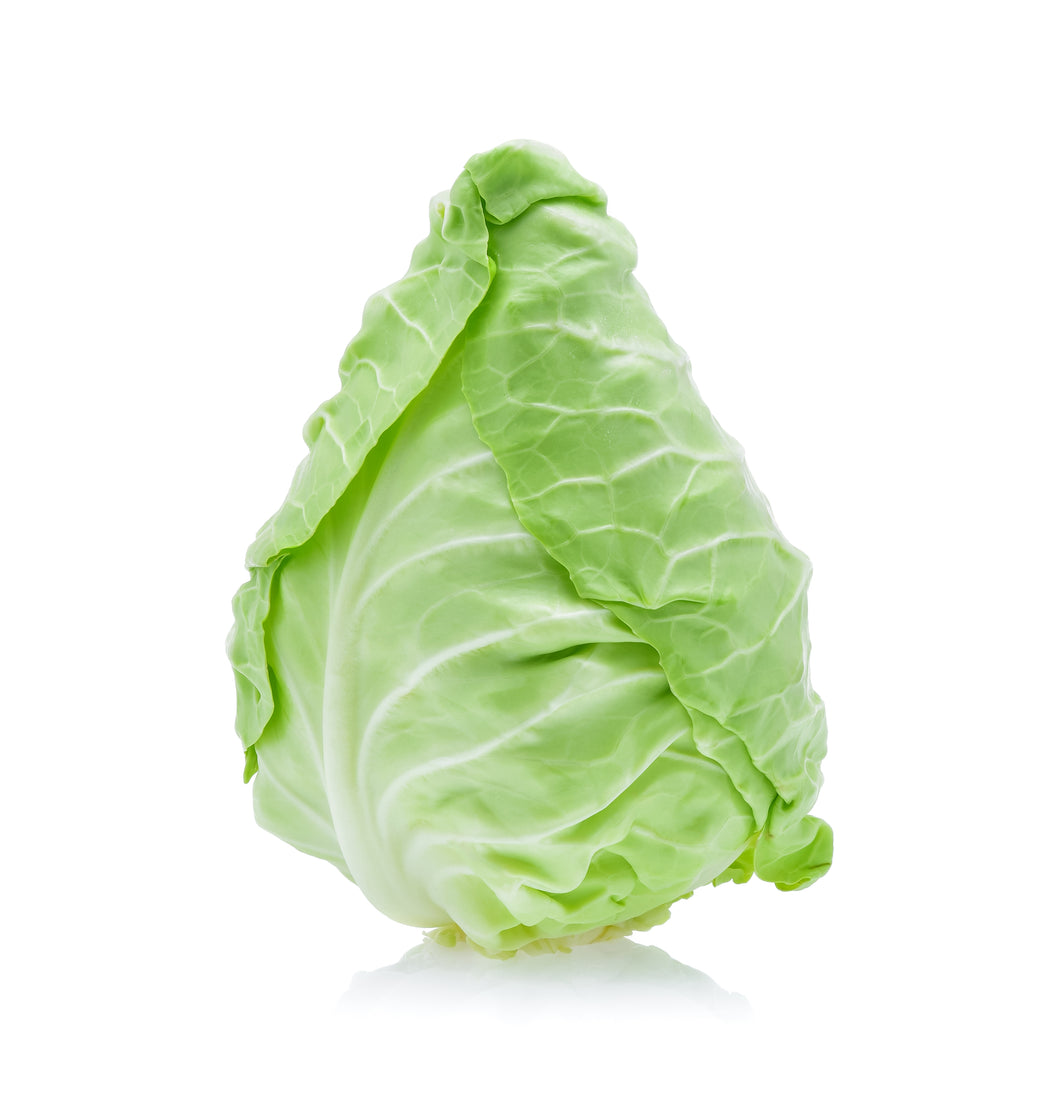 Organic Pointed Spring Cabbage Vegetable Seeds - 7 Per Pack