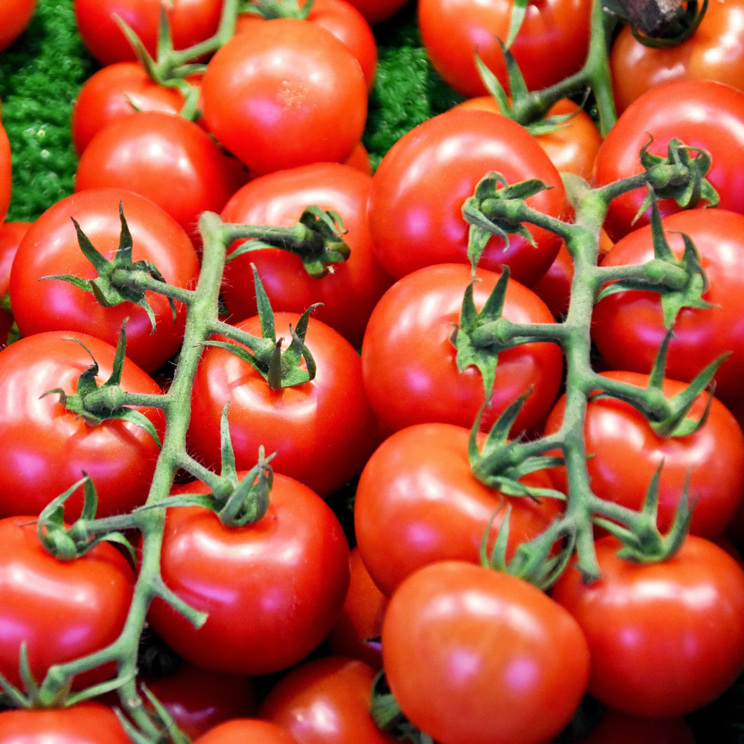 Organic Matina Tomato Seeds - 28 Per Pack